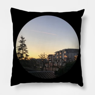 Home / Pictures of My Life Pillow