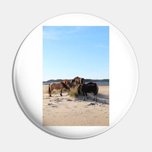 Assateague Beach Ponies Series - 04 Pin