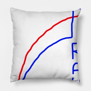 Election 2020 Pillow