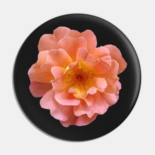 Pretty Garden Rose Pin