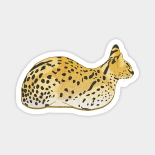 Just the Serval Loaf Magnet