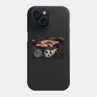 Rosy conk (Fomitopsis cajanderi) Phone Case