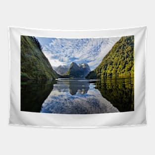 Doubtful Sound 4 Tapestry