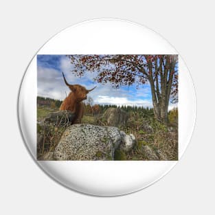 Scottish Highland Cattle Cow 1564 Pin