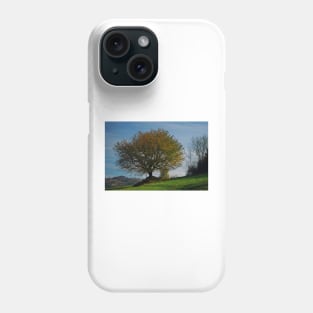 Autumn tree Phone Case