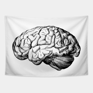 Brain Tapestry