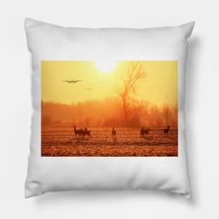 Buzzing the Deer Pillow