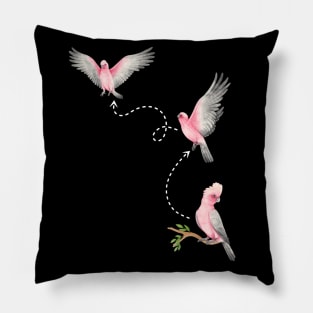 Funny cute Galah Cockatoo take off and flying cockatoo owner Pillow