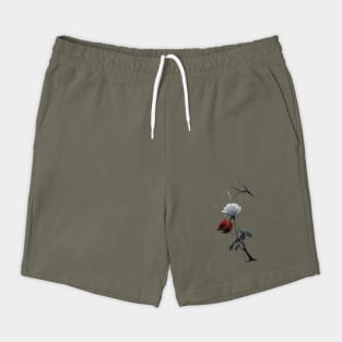 Created Artwork of Two Roses one Red and one White Growing from a Single Dark Stem with Leaves Shorts