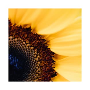 Sunflower T-Shirt