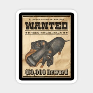 Funny Cute Doxie Dachshund Dog Wanted Poster Magnet