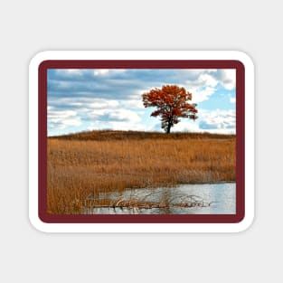 Solitary Tree Magnet