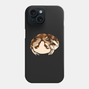 desert rain frog Phone Case