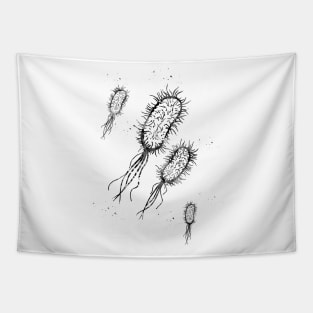 Escherichia coli Tapestry