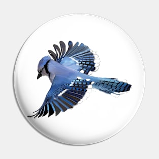 Blue Jay in Flight Pin