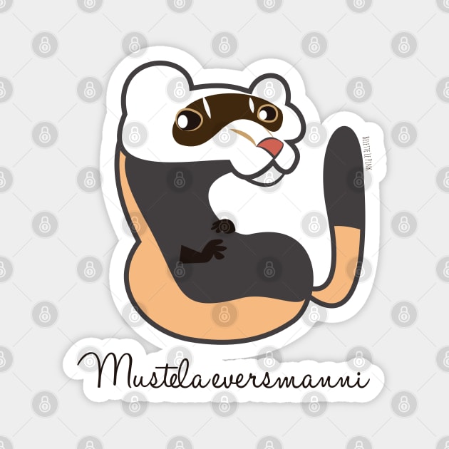 Steppe polecat Mustela eversmanni Magnet by belettelepink