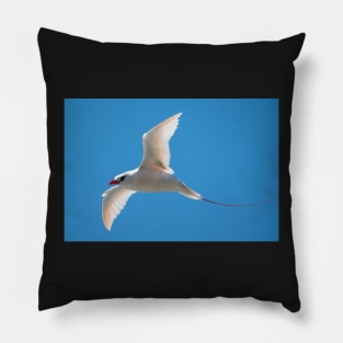 Red-Tailed Tropic Bird, Norfolk Island Pillow