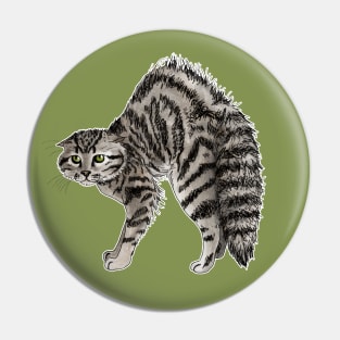 Scared cat Pin