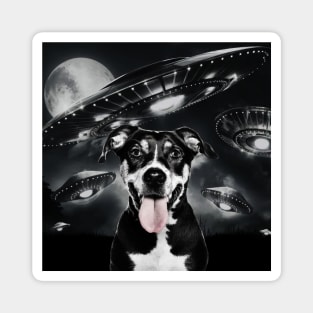 Selfie of Funny Dog And Aliens UFO  3 Magnet