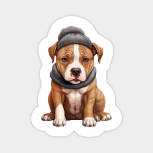 Winter American Staffordshire Terrier Dog Magnet