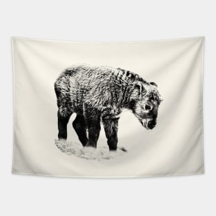 Baby takin Tapestry