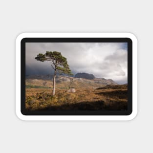 Slioch Magnet