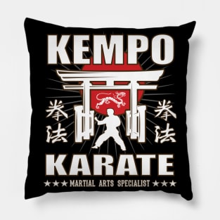 Cool Kempo Karate, Martial Arts Design With Kanji Pillow