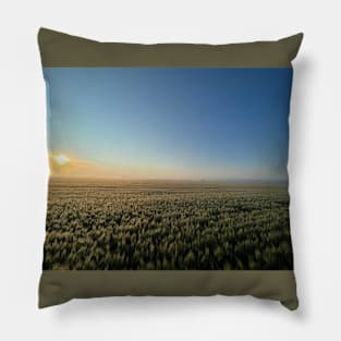 Another f?!#ing wheat field? You bet your 'Bertan ass. Pillow