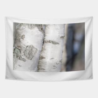 Birch Tapestry