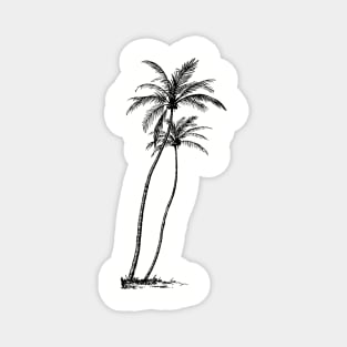 Palm Trees Magnet