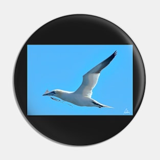 Gannet Pin