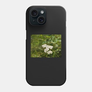 White bunch flowers in field Phone Case