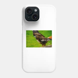 rli redtail hawk Phone Case