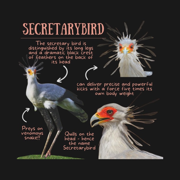 Animal Facts - Secretarybird by Animal Facts and Trivias