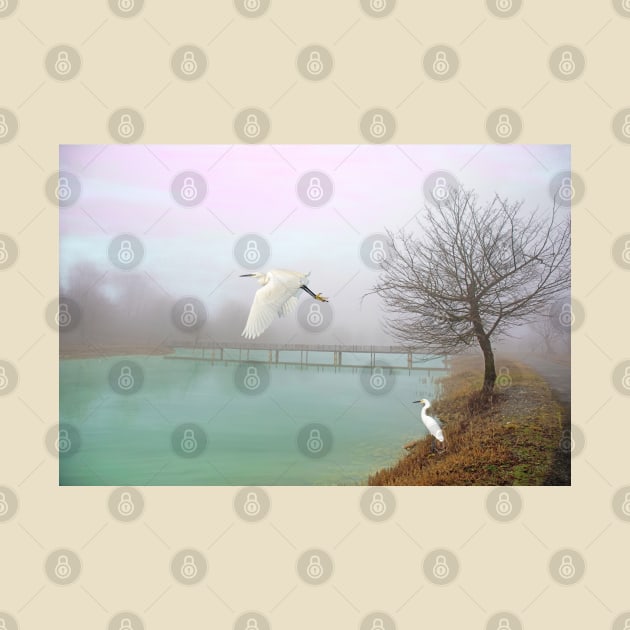 Snowy Egrets at the Bridge by lauradyoung