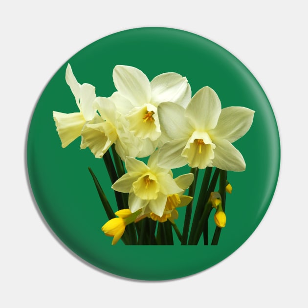 Daffodils - Daffodils and Buds Pin by SusanSavad