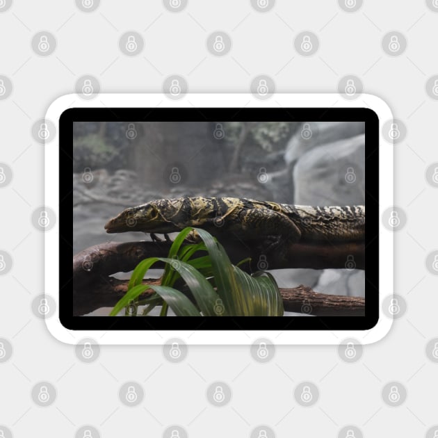 Monitor Lizard Magnet by MarieDarcy