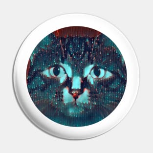 Anxious mycat, revolution for cats Pin