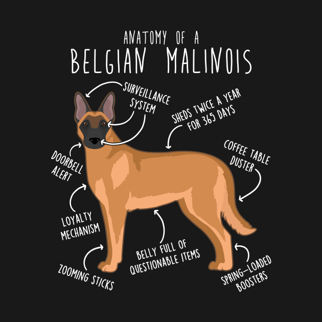 Belgian Malinois Dog Anatomy by Psitta