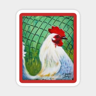 The Portrait of a White Rooster Magnet