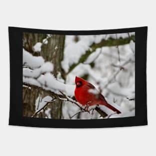 Winter Cardinal 2 Tapestry