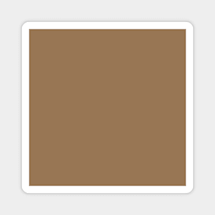 PLAIN SOLID Pale Brown Magnet