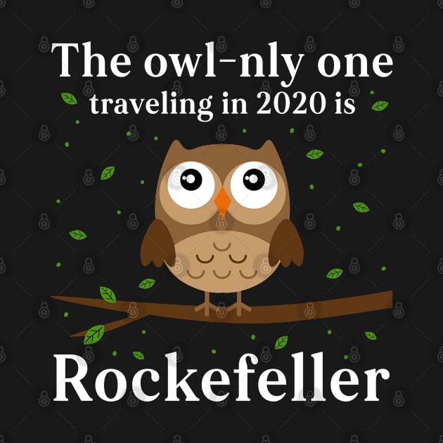 Rockefeller the Owl New York Whooo's Traveling in 2020 by snnt