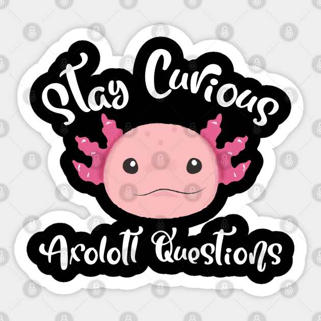 Stay Curious Axolotl Questions Smiling Axolotl Axolotl Art Sticker Teepublic Uk