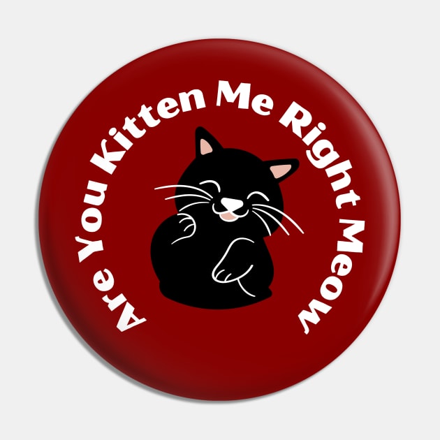 Are You Kitten Me Right Meow Pin by SpaceART