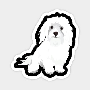 Animal Vignette : Maltese Dog Breed Magnet