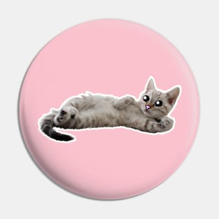 Cute Cat Pin