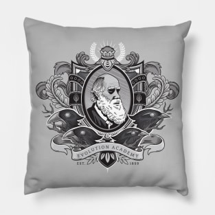 Evolution Academy Pillow