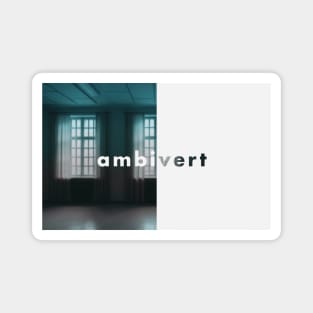 Ambivert Magnet