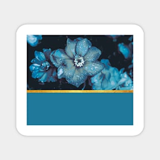 Blue flowers Magnet